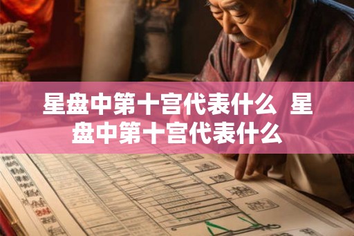 星盘中第十宫代表什么  星盘中第十宫代表什么