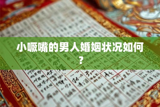 小噘嘴的男人婚姻状况如何？