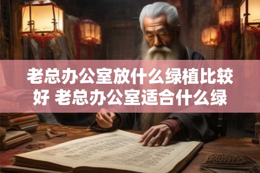 老总办公室放什么绿植比较好 老总办公室适合什么绿植