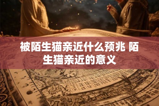 被陌生猫亲近什么预兆 陌生猫亲近的意义