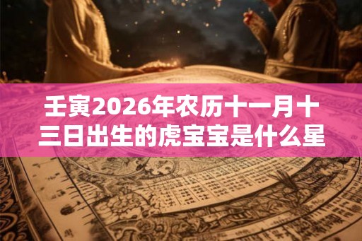 壬寅2026年农历十一月十三日出生的虎宝宝是什么星座？