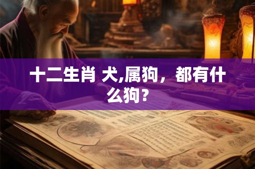 十二生肖 犬,属狗,都有什么狗? 十二生肖 犬,属狗,都有什么狗?