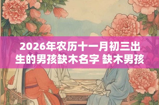 2026年农历十一月初三出生的男孩缺木名字 缺木男孩最吉利的名字