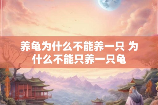 养龟为什么不能养一只 为什么不能只养一只龟