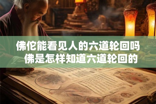 佛佗能看见人的六道轮回吗  佛是怎样知道六道轮回的