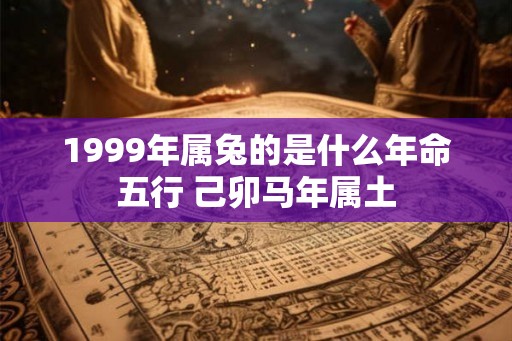 1999年属兔的是什么年命五行 己卯马年属土