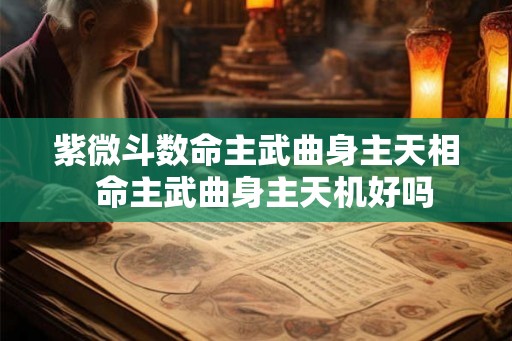 紫微斗数命主武曲身主天相  命主武曲身主天机好吗