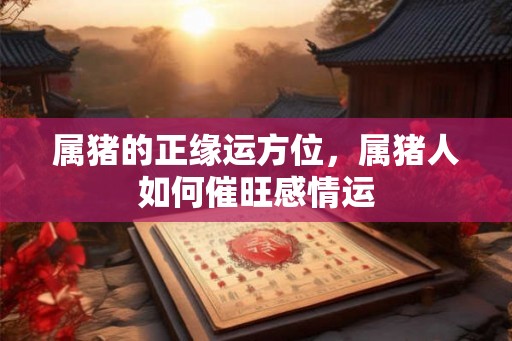 属猪的正缘运方位,属猪人如何催旺感情运 属猪的正缘运方位,属猪人如何催旺感情运
