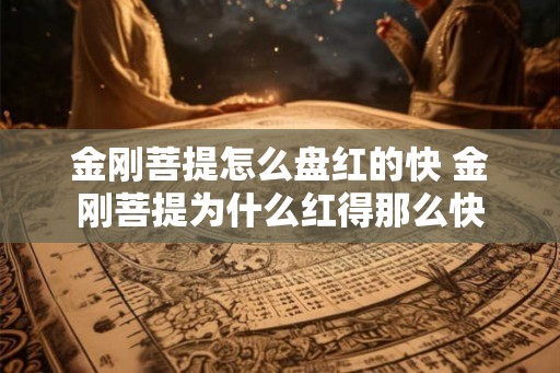金刚菩提怎么盘红的快 金刚菩提为什么红得那么快 金刚菩提怎么盘红的快 金刚菩提为什么红得那么快
