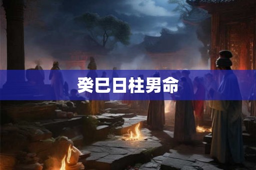 癸巳日柱男命 癸巳日柱男命