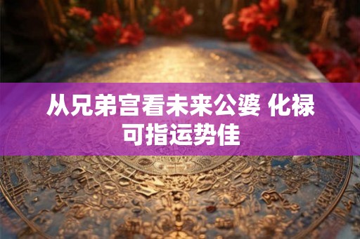 从兄弟宫看未来公婆 化禄可指运势佳
