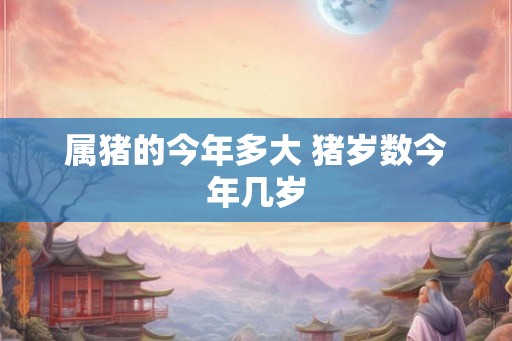 属猪的今年多大 猪岁数今年几岁