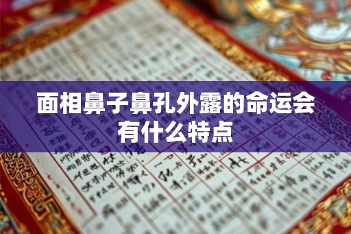 面相鼻子鼻孔外露的命运会有什么特点