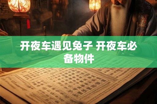 开夜车遇见兔子 开夜车必备物件