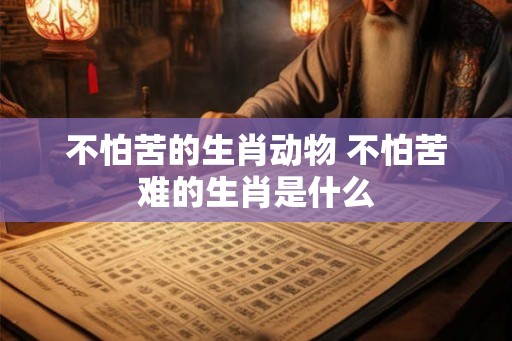 不怕苦的生肖动物 不怕苦难的生肖是什么 不怕苦的生肖动物 不怕苦难的生肖是什么