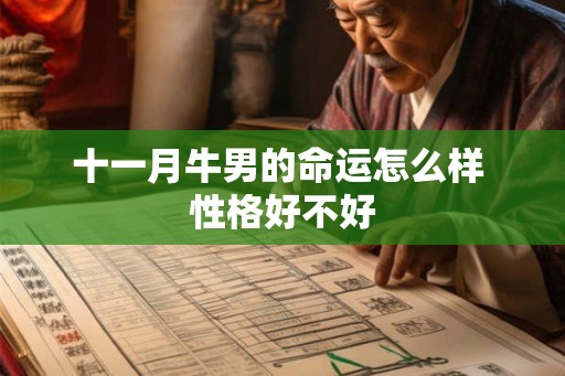 十一月牛男的命运怎么样 性格好不好