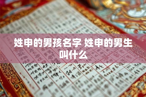 姓申的男孩名字 姓申的男生叫什么 姓申的男孩名字 姓申的男生叫什么