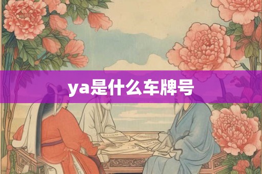ya是什么车牌号