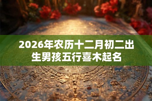 2026年农历十二月初二出生男孩五行喜木起名 2026年农历十二月初二出生男孩五行喜木起名
