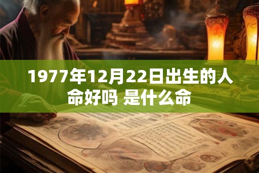 1977年12月22日出生的人命好吗 是什么命