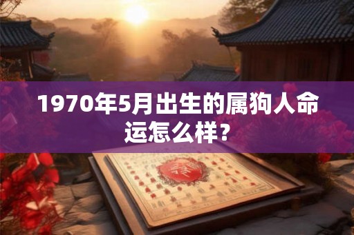 1970年5月出生的属狗人命运怎么样？