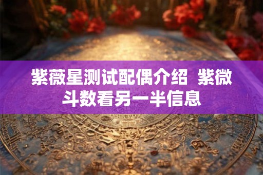 紫薇星测试配偶介绍  紫微斗数看另一半信息