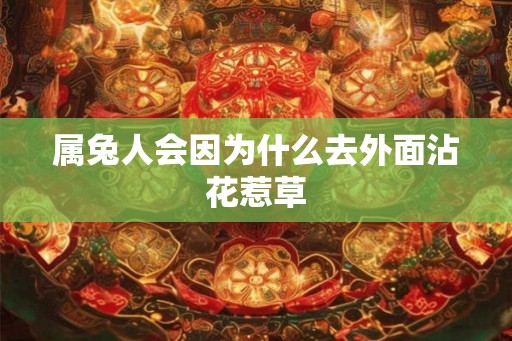 属兔人会因为什么去外面沾花惹草