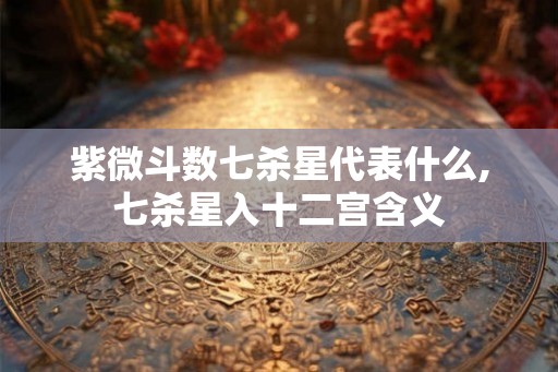 紫微斗数七杀星代表什么,七杀星入十二宫含义