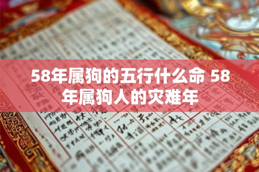 58年属狗的五行什么命 58年属狗人的灾难年 58年属狗的五行什么命 58年属狗人的灾难年
