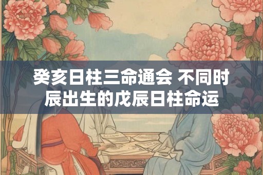 癸亥日柱三命通会 不同时辰出生的戊辰日柱命运