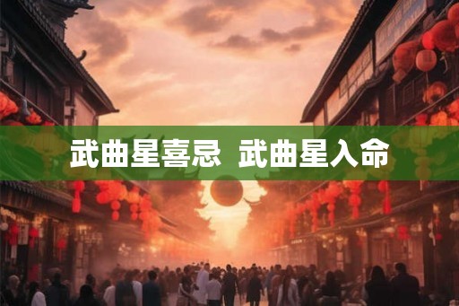武曲星喜忌 武曲星入命 武曲星喜忌 武曲星入命