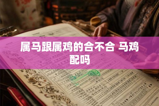 属马跟属鸡的合不合 马鸡配吗