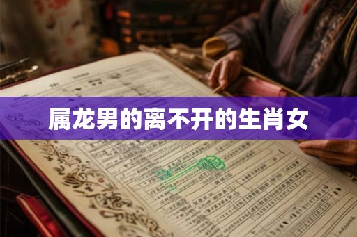 属龙男的离不开的生肖女