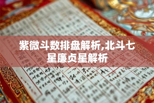 紫微斗数排盘解析,北斗七星廉贞星解析