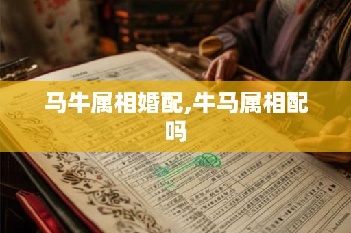 马牛属相婚配,牛马属相配吗