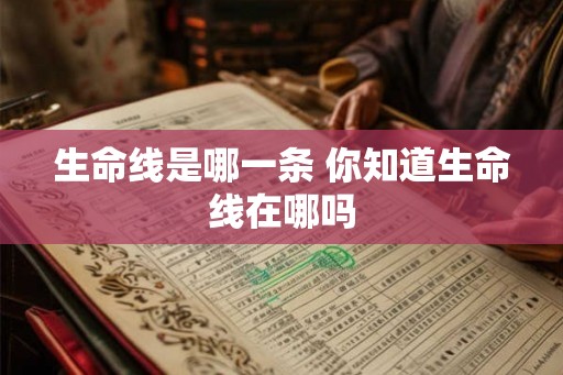生命线是哪一条 你知道生命线在哪吗