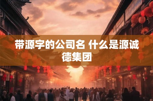 带源字的公司名 什么是源诚德集团