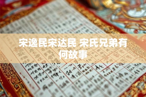 宋逸民宋达民 宋氏兄弟有何故事
