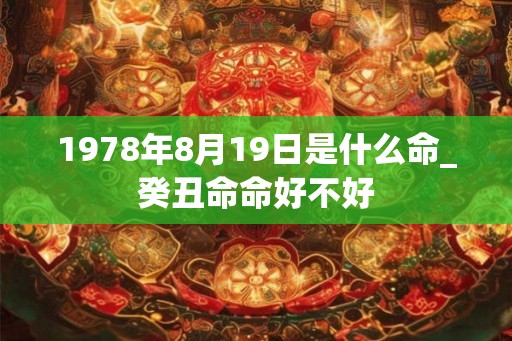 1978年8月19日是什么命_癸丑命命好不好
