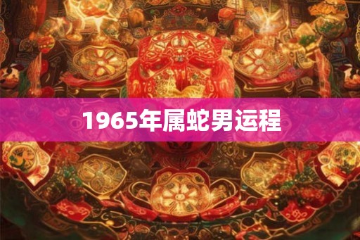 1965年属蛇男运程