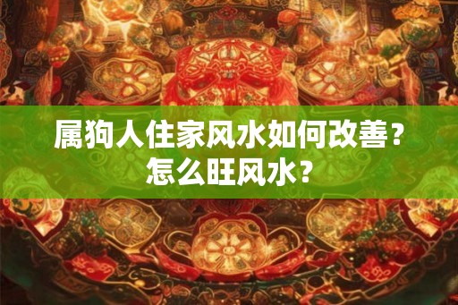 属狗人住家风水如何改善？怎么旺风水？