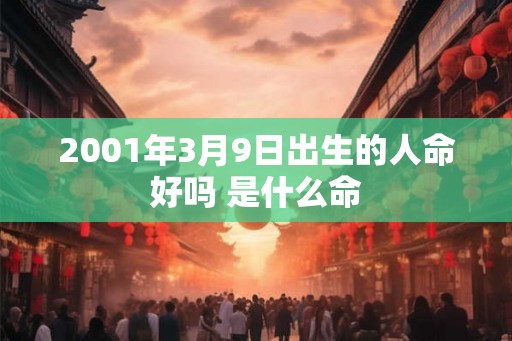 2001年3月9日出生的人命好吗 是什么命