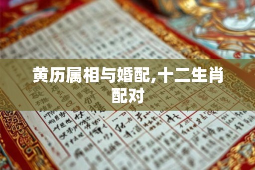 黄历属相与婚配,十二生肖配对
