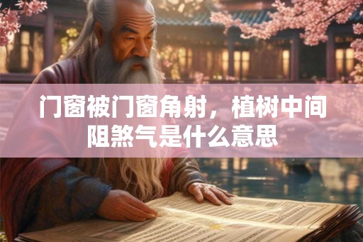 门窗被门窗角射，植树中间阻煞气是什么意思