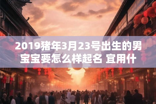 2019猪年3月23号出生的男宝宝要怎么样起名 宜用什么字