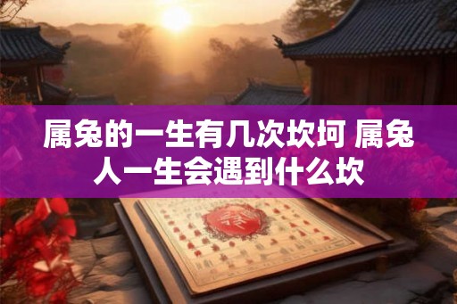 属兔的一生有几次坎坷 属兔人一生会遇到什么坎