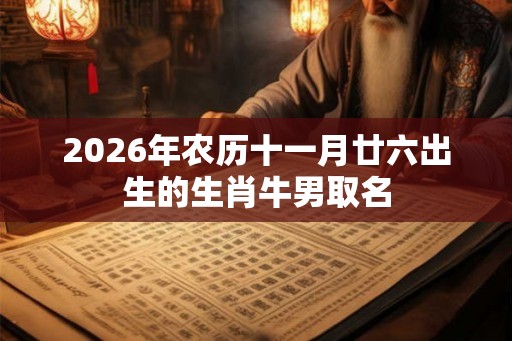 2026年农历十一月廿六出生的生肖牛男取名
