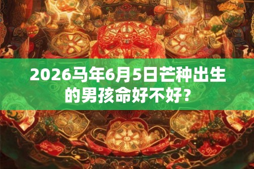2026马年6月5日芒种出生的男孩命好不好？