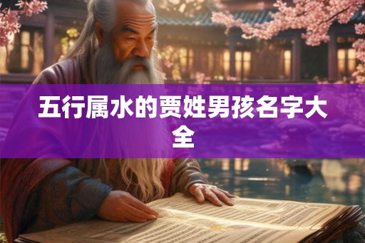 五行属水的贾姓男孩名字大全
