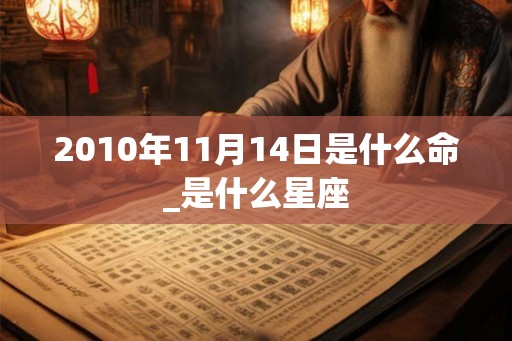 2010年11月14日是什么命_是什么星座 2010年11月14日是什么命_是什么星座